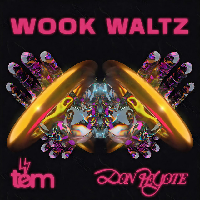 Wook Waltz cover