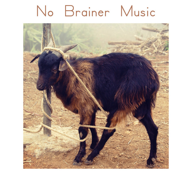 No Brainer Music cover art