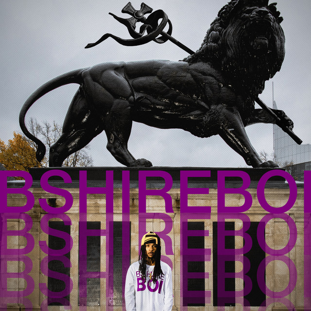 bshireboi cover art