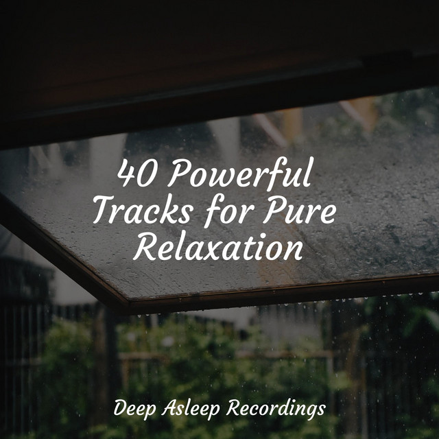 40 Powerful Tracks for Pure Relaxation - Album by SleepTherapy | Spotify