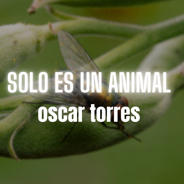Oscar Torres