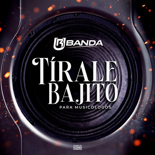 Tírale Bajito (Para Musicólogos) album image