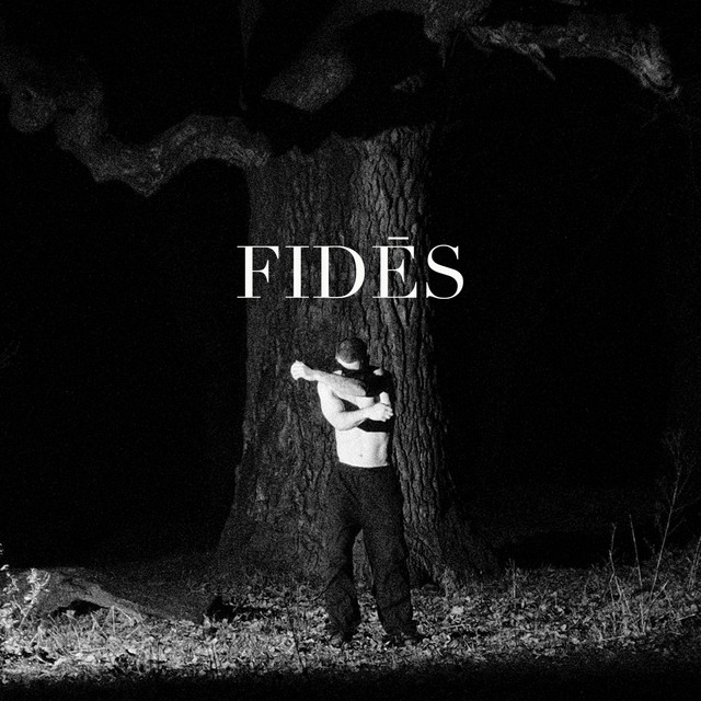 Обкладинка Hillmer — Fidēs