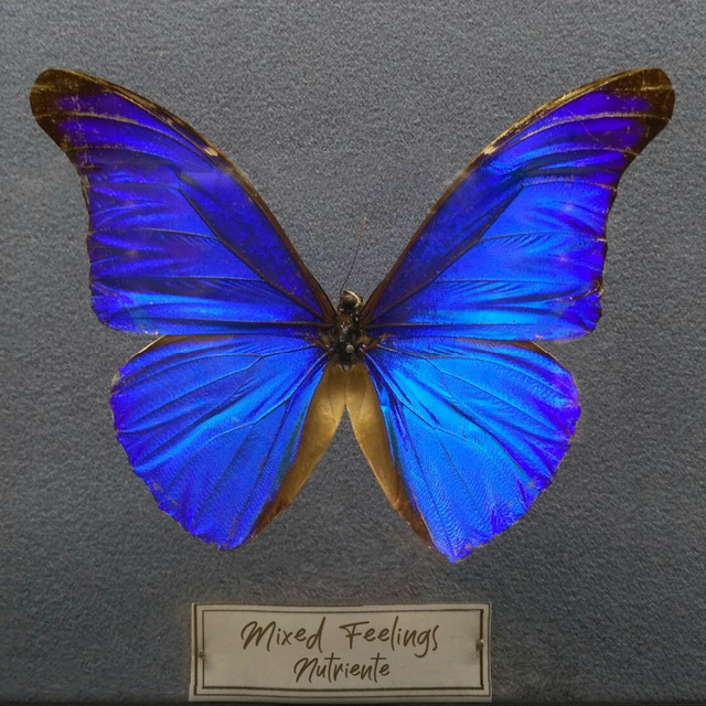 Nutriente cover