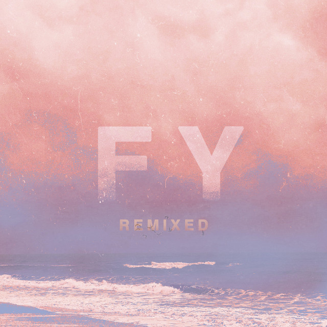 FY (Remixed) cover art