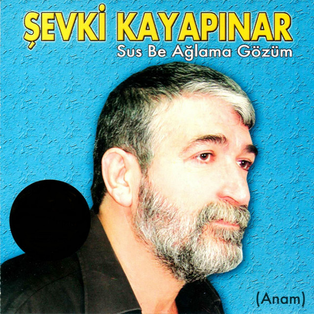 Sus Be Ağlama Gözüm cover art