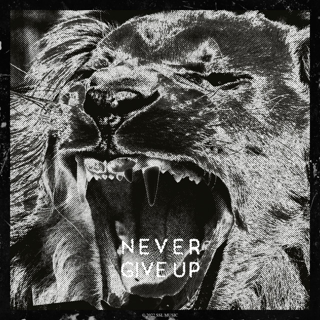 Bravetone – Never Give Up