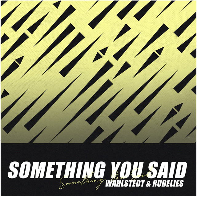 Something You Said