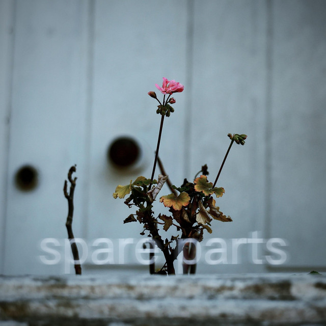 Spare Parts cover art