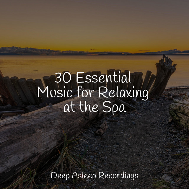 30 Essential Music for Relaxing at the Spa - Album by Spa & Spa | Spotify