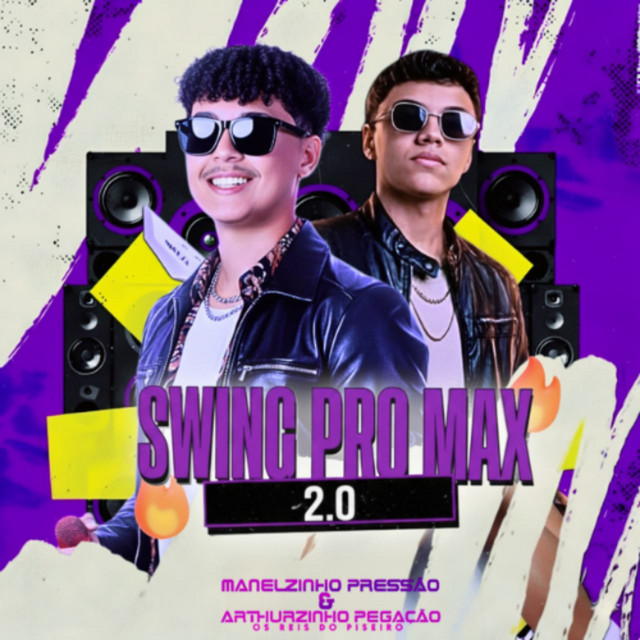 Swing pro Max 2.0