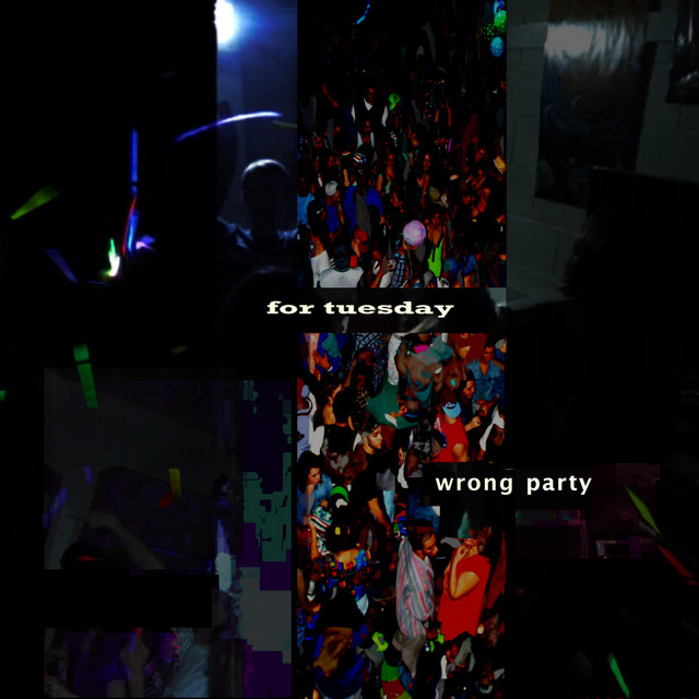 wrong party cover art