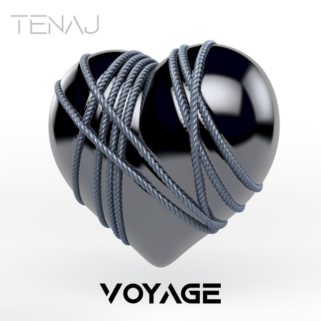 Voyage cover art