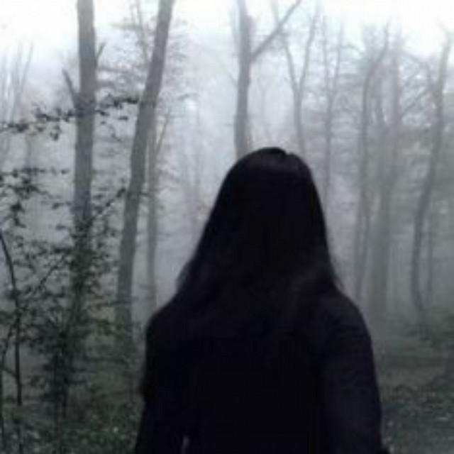 lost cover art