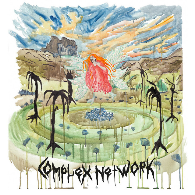 Complex Network cover art
