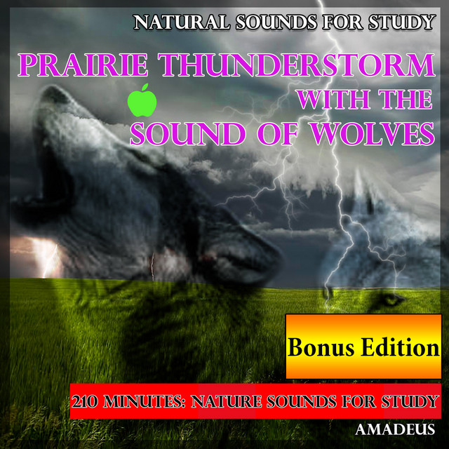 Natural Sounds for Study: Prairie Thunderstorm with the Sound of Wolves: Bonus Edition cover art