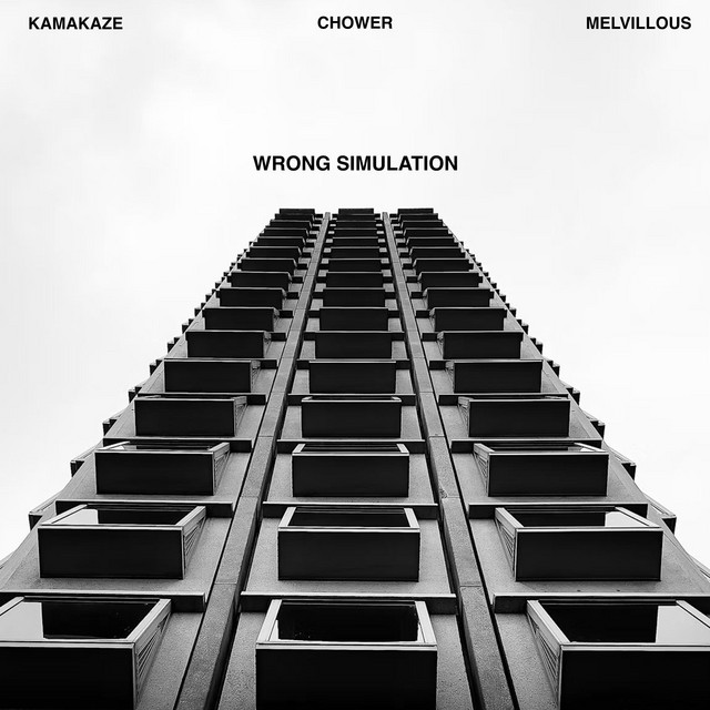 Wrong Simulation cover art