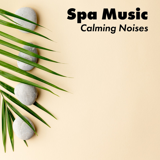 Spa Music - Calming Noises. Delicate Music Perfect for Rest and Relax cover art