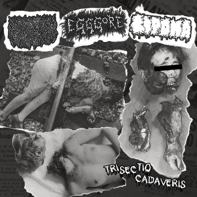 3 way gore split CD cover art