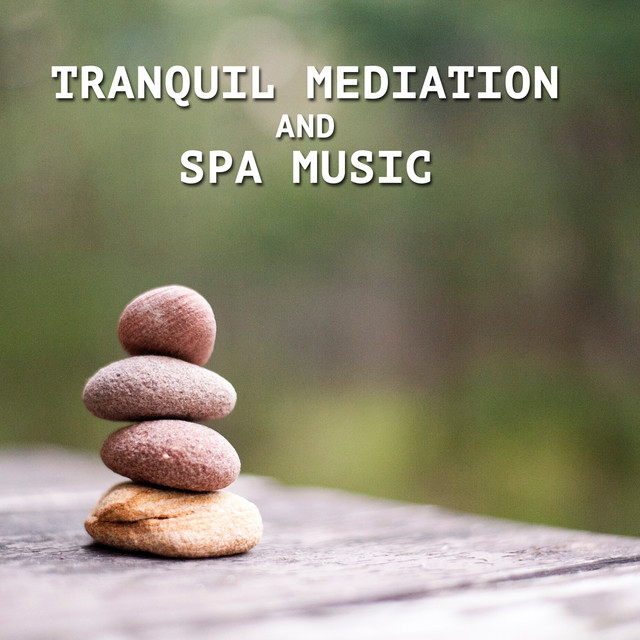 13 Tranquil Mediation and Spa Music cover art