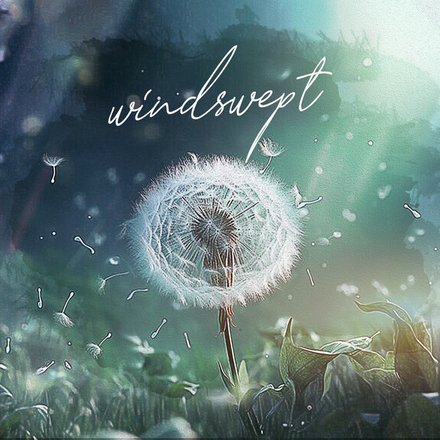 windswept