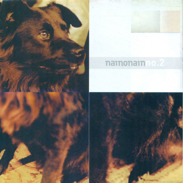 Nainonain No. 2 cover art