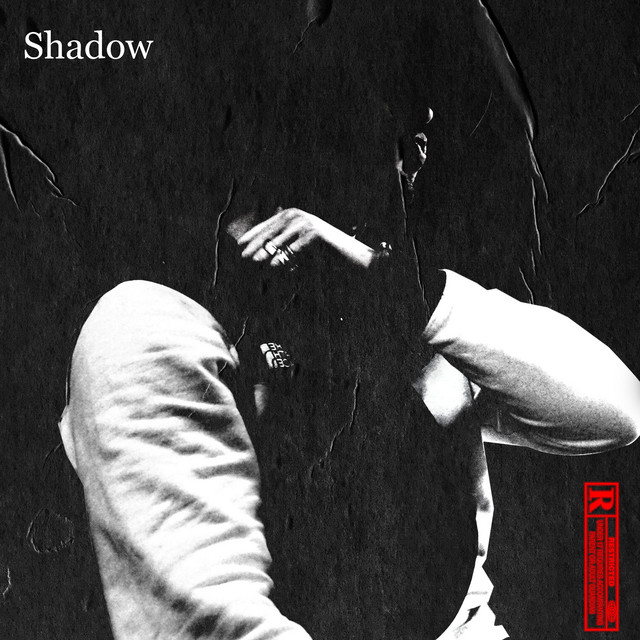 Shadow cover art