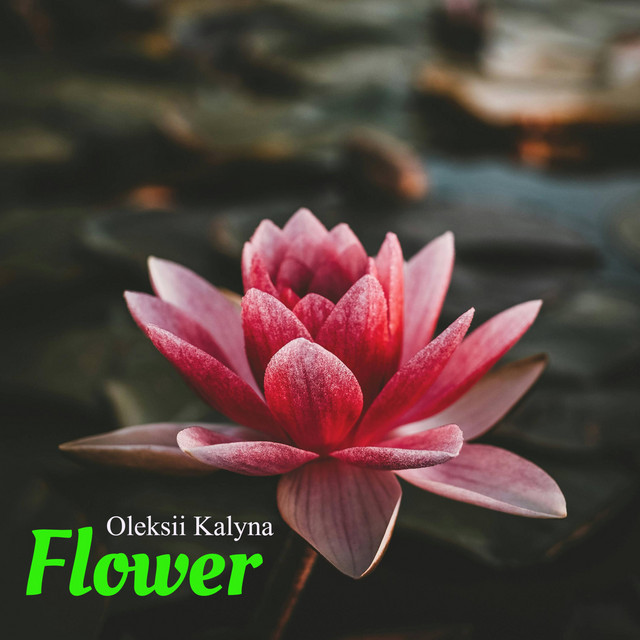 Обкладинка: Flower — Oleksii Kalyna