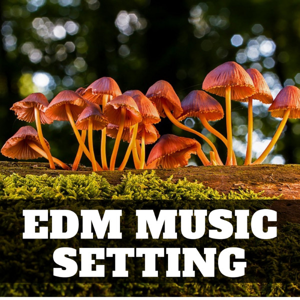 Edm Music Setting cover art