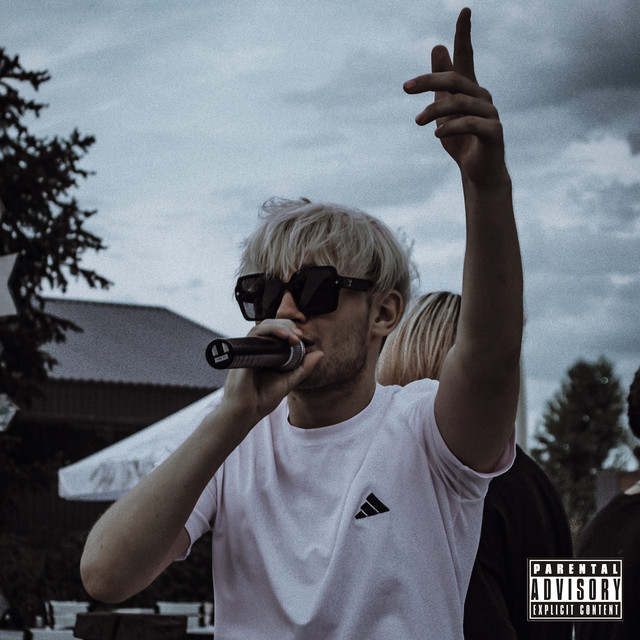 Mrvmega cover art