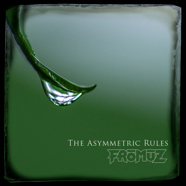 The Asymmetric Rules cover art