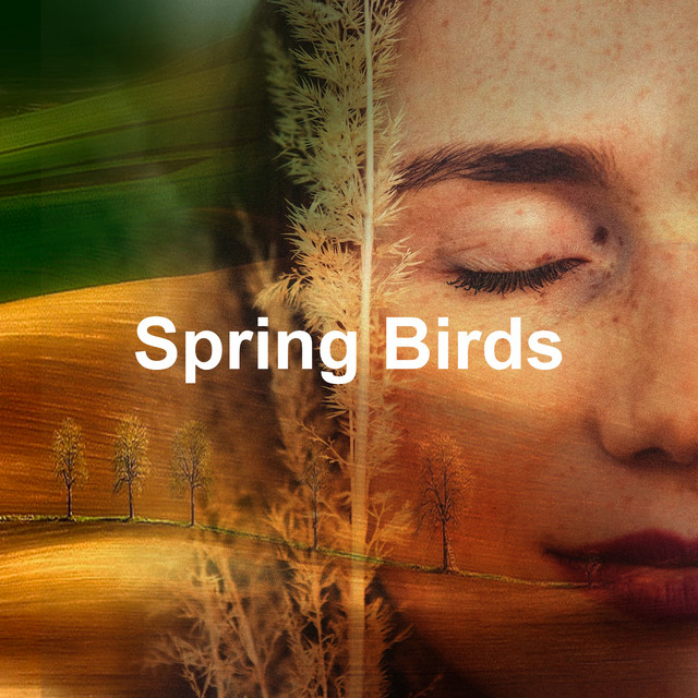 Spring Birds - Album by Bird Robin | Spotify