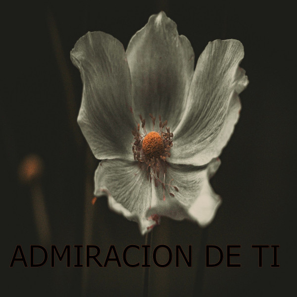 ADMIRACION DE TI cover art