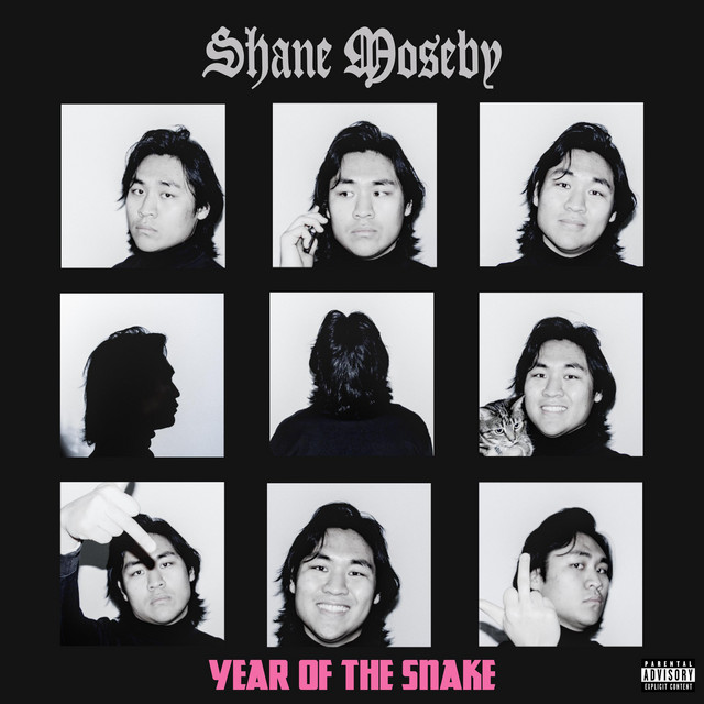 YEAR OF THE SNAKE cover art