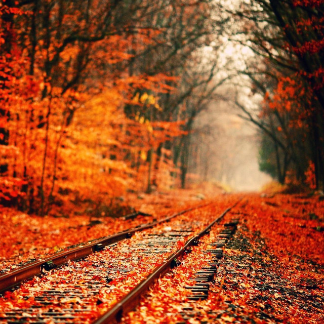 Fall cover art