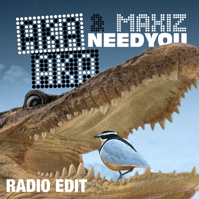 Need You (Radio Edit) cover