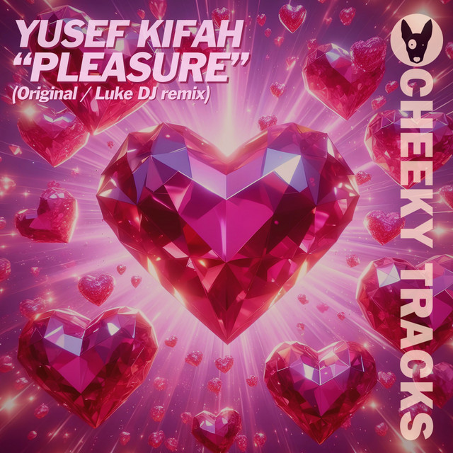 Pleasure - Radio Edit cover art