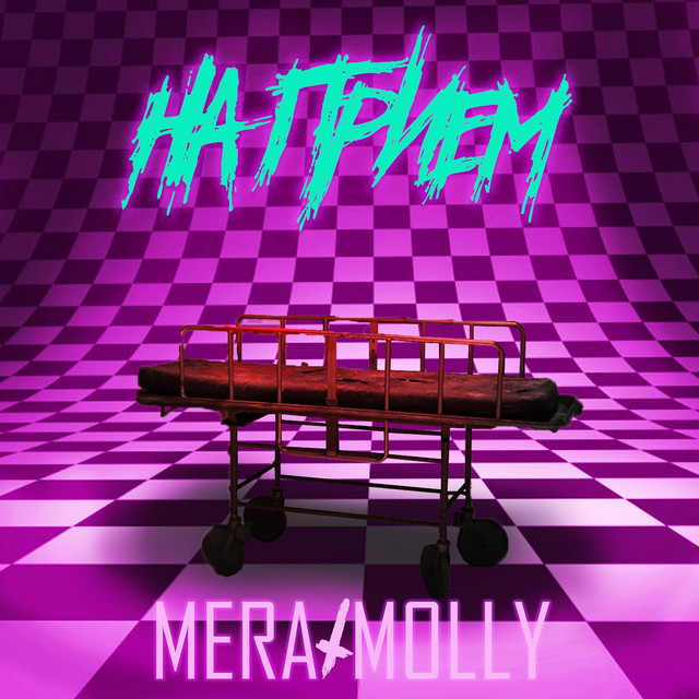 Cover art for MERAxMOLLY — НА ПРИЕМ