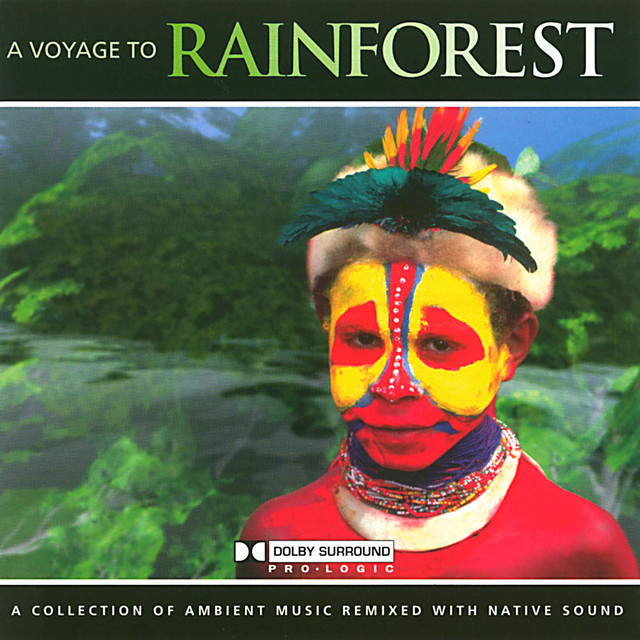 A Voyage To The Rainforest cover art