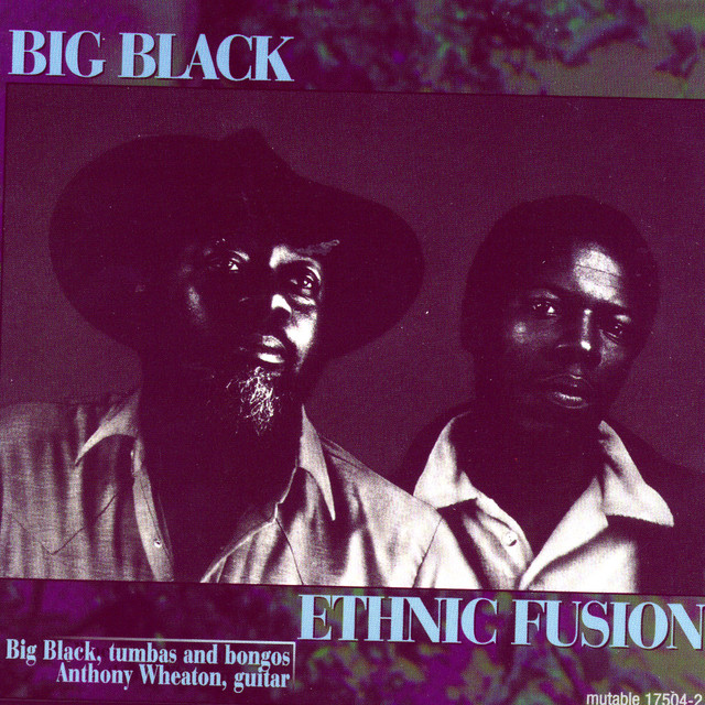 Ethnic Fusion cover art