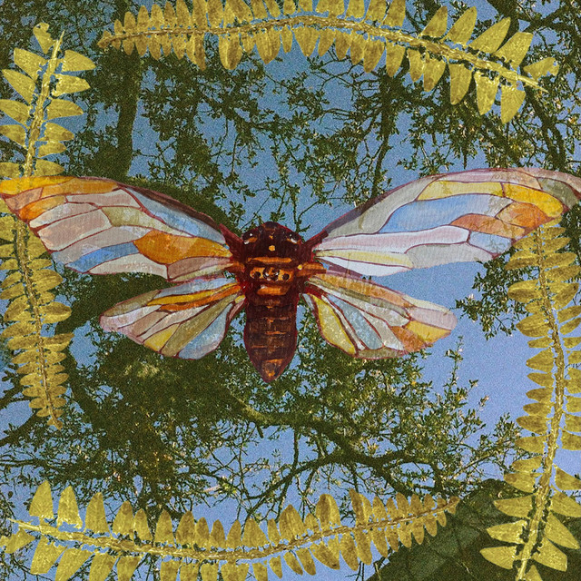 Cicada cover art