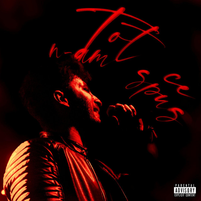 TOT CE N-AM SPUS cover art