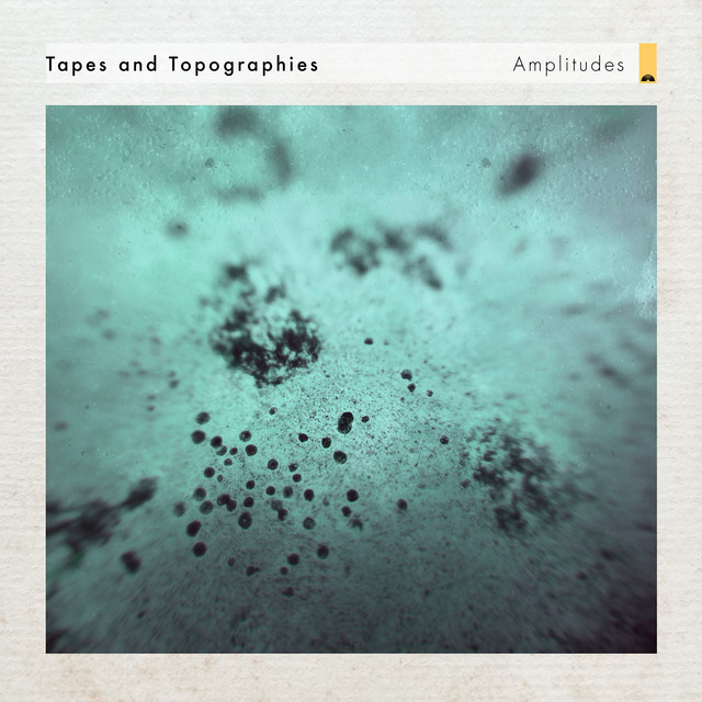 Amplitudes cover art