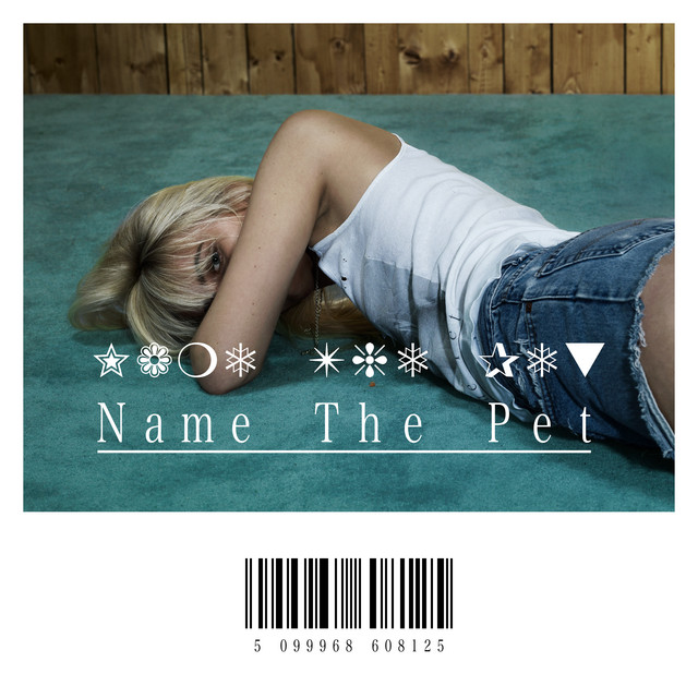 Name The Pet cover