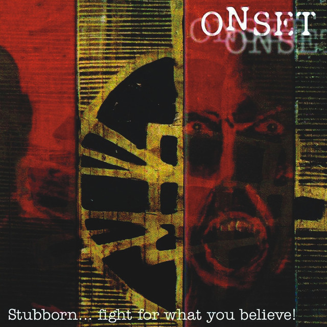 Stubborn... Fight for What You Believe cover