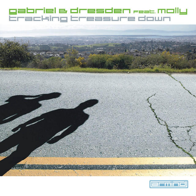 Tracking Treasure Down cover art