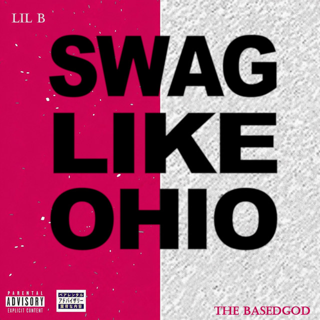 Swag Like Ohio by Lil B