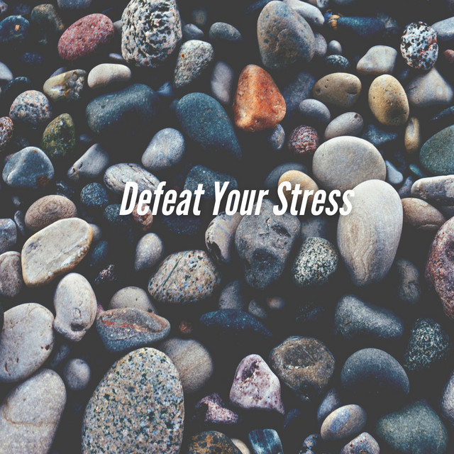 Defeat Your Stress cover art