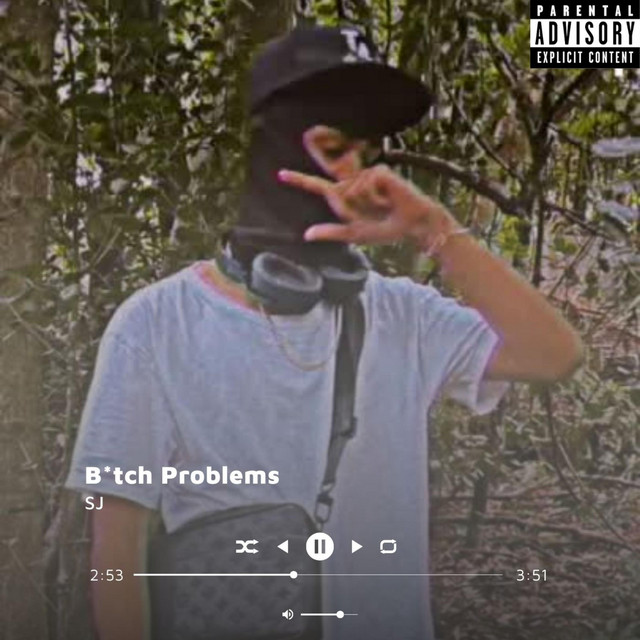 Bitch Problems cover art