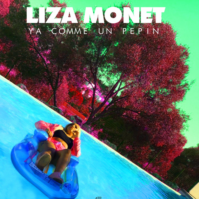 Y a comme un pépin cover